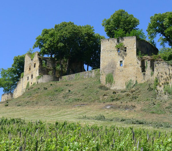 Château d'Arlay