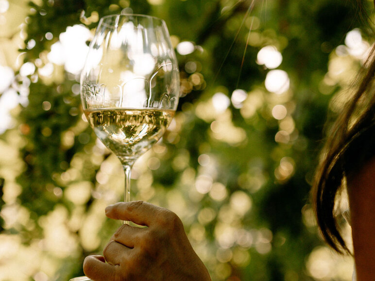 Aktion | bis 20% Rabatt - Angebot Frankreich