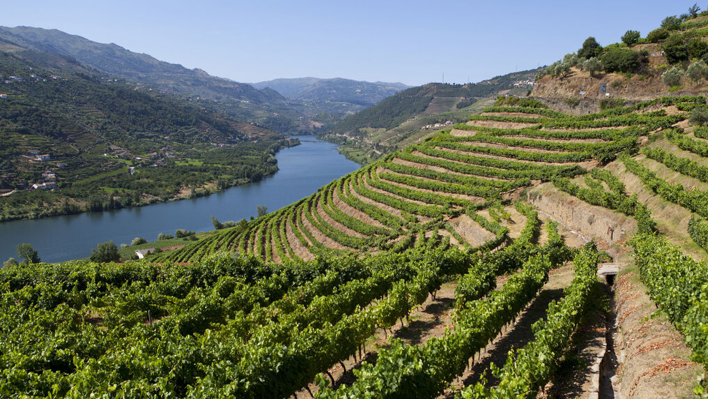 Douro