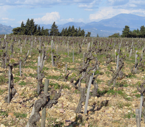 Domaine de la Charbonnière