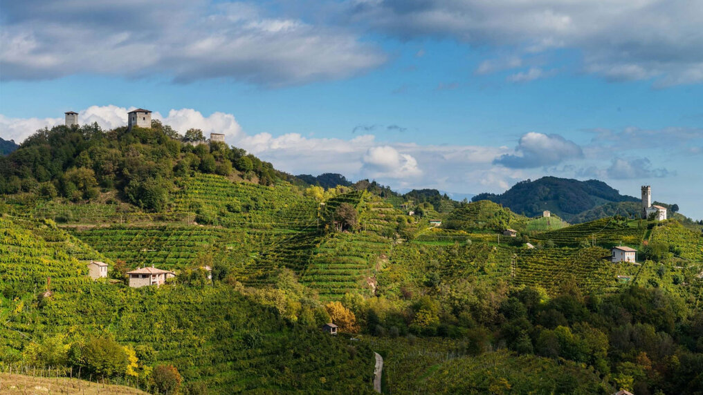 Cantina Progettidivini