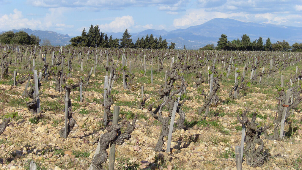 Domaine de la Charbonnière