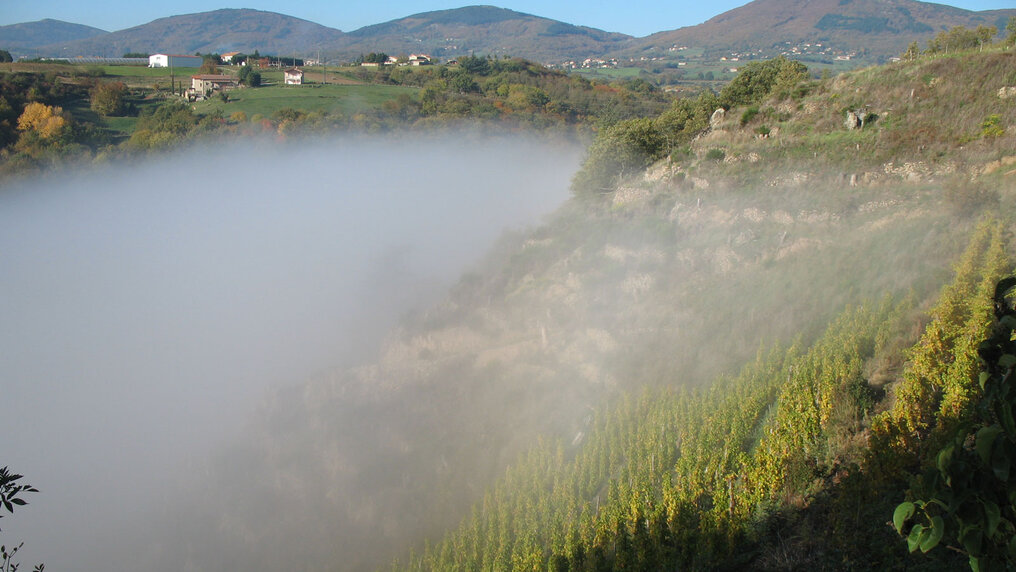 Clos de la Bonnette