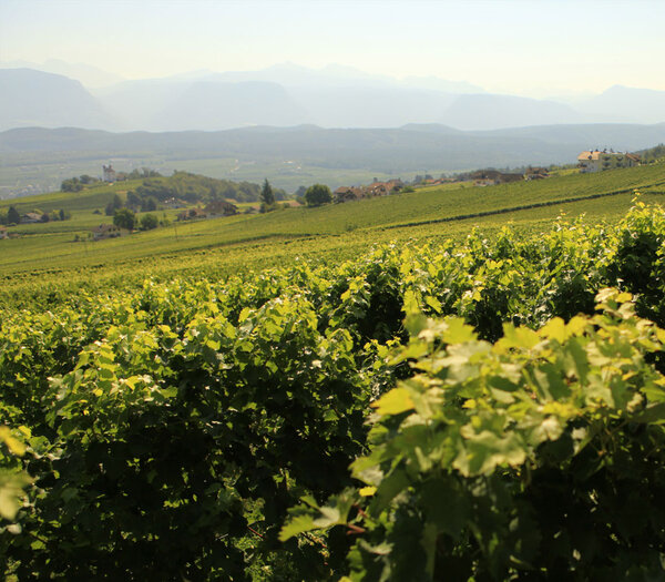 Alto Adige (Südtirol)