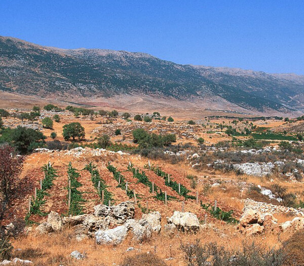 Bekaa Valley