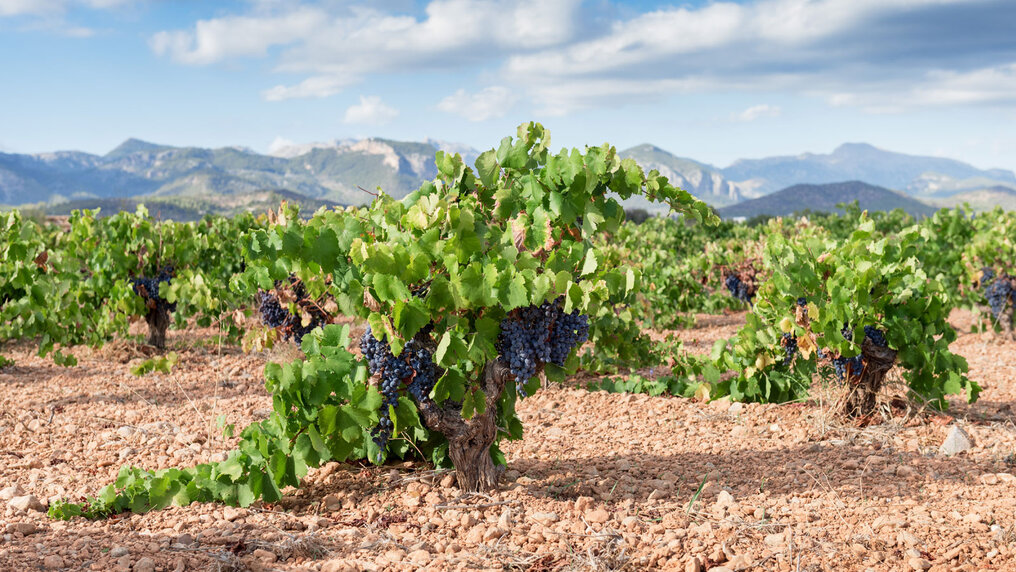 Mallorca