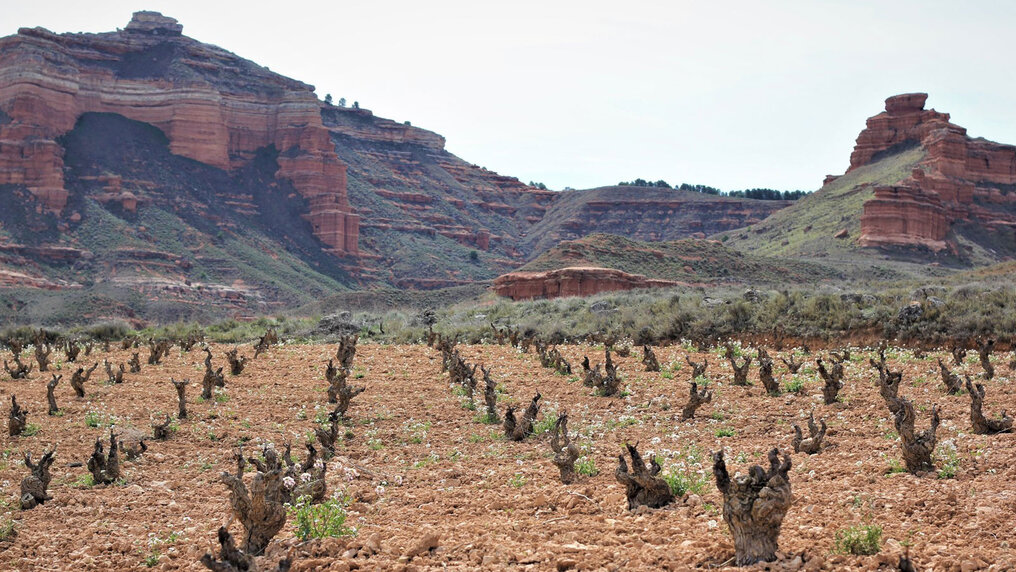 Calatayud