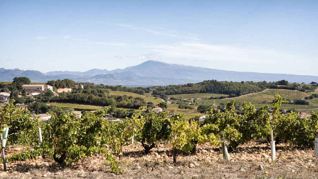 Rhône Valley