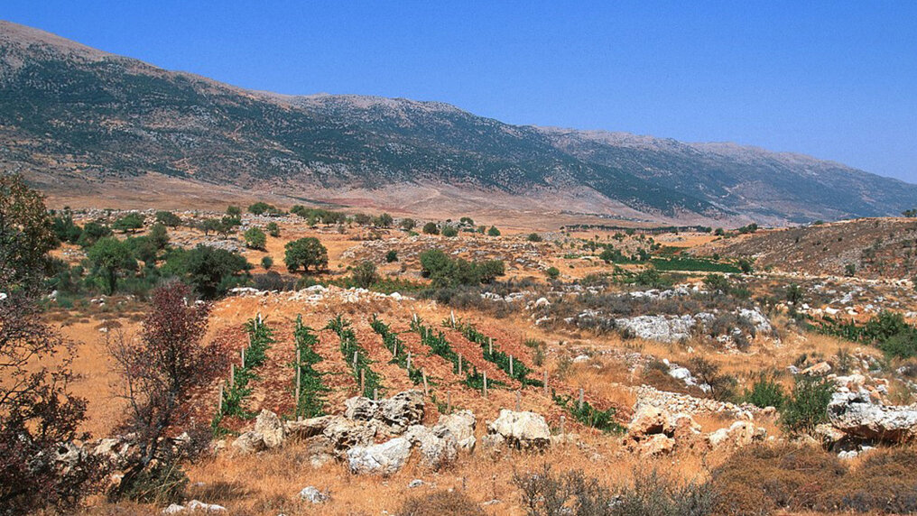 Bekaa Valley