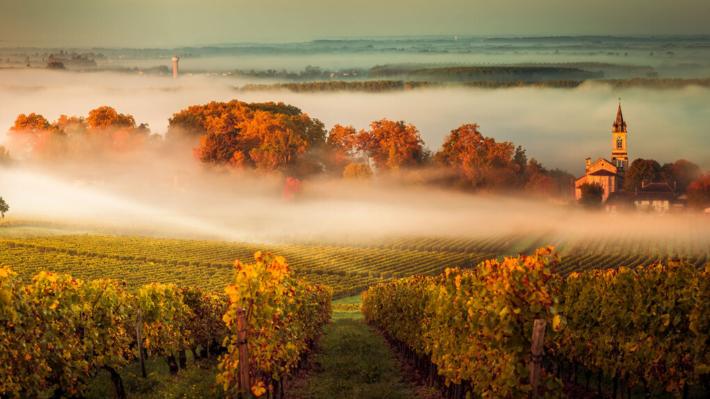 Degustation Frankreich & Spanien